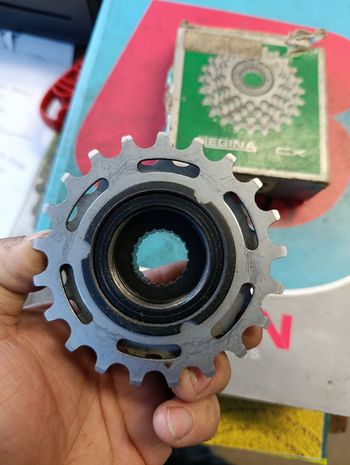 Used Regina cxs 6v bike — image 3 of 3