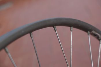 Used Campagnolo Record, Nisi Solidal, Tubolare, 36 Fori, Ruota Anteriore 1982 bike — image 11 of 13