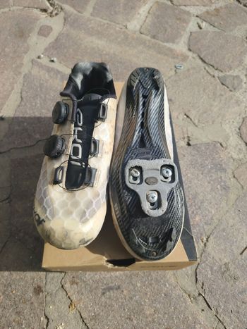 Used Ekoi carbonio 2023 bike — image 2 of 2
