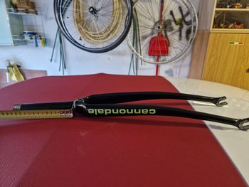 Cannondale, Altro