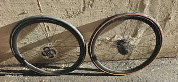 Używany Scott Capital 1.0 2021 Wheels