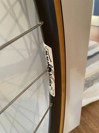 Used Campagnolo omega V 6082 T6 2016 bike — image 5 of 7