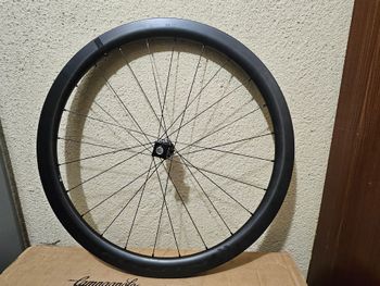 Used Fulcrum 42 Carbono 2025 bike — image 2 of 11