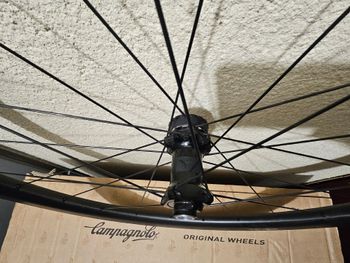 Used Fulcrum 42 Carbono 2025 bike — image 3 of 11