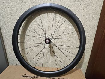 Used Fulcrum 42 Carbono 2025 bike — image 4 of 11