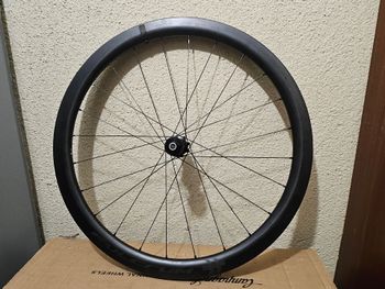 Used Fulcrum 42 Carbono 2025 bike — image 8 of 11