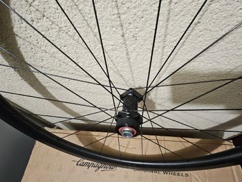 Used Fulcrum 42 Carbono 2025 bike — image 5 of 11