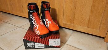 Alpina, Pro Skate Crosscountry Shoes Size 47.5