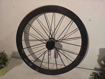 Lightweight, Obermayer EVO Schwarz ED Wheelset