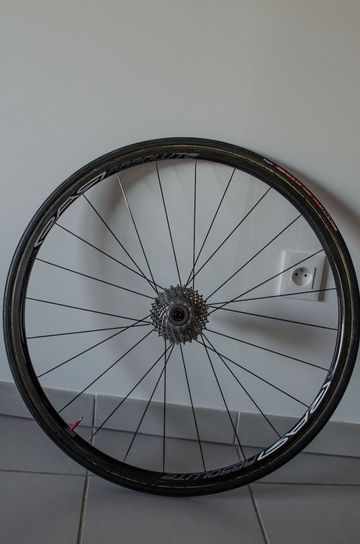 RAR EVEN 24mm Absolute 2015 bike d'occasion — image 8 sur 8