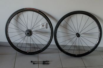 RAR, EVEN 24mm Absolute