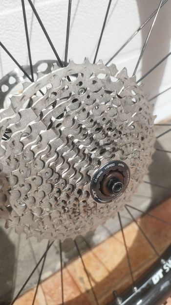 Used Dt Swiss Dtswiss x 1900 spline bike — image 5 of 9