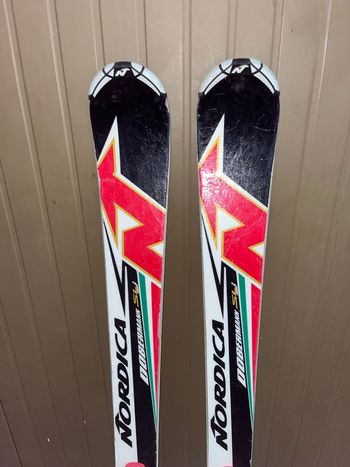 Used Nordica doberman sl bike — image 1 of 4