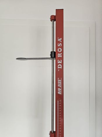 Used De Rosa Bio Size 1990 bike — image 16 of 16