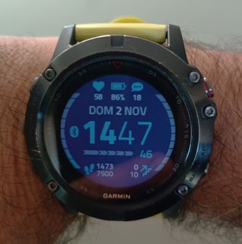 Used Garmin Fenix 5X Sapphire Smartwatch 51mm 2022 bike