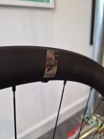 Gebrauchtes Fulcrum Speed 2024 bike — Bild 4 von 10