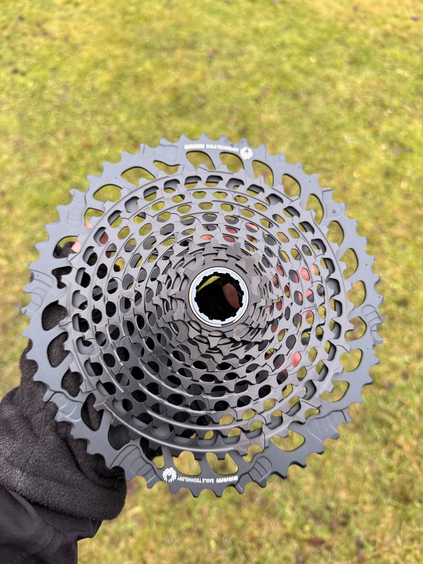 6c206202-ff8a-4ea8-8883-