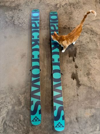 Used Black Crows atris 189 / knee bindings 2020 bike — image 2 of 13