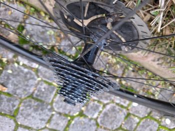 Used Dt Swiss Ruote  in carbonio per tubolare 2020 bike — image 3 of 5