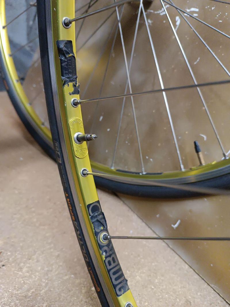 Used Ambrosio excellence bike — image 4 of 4