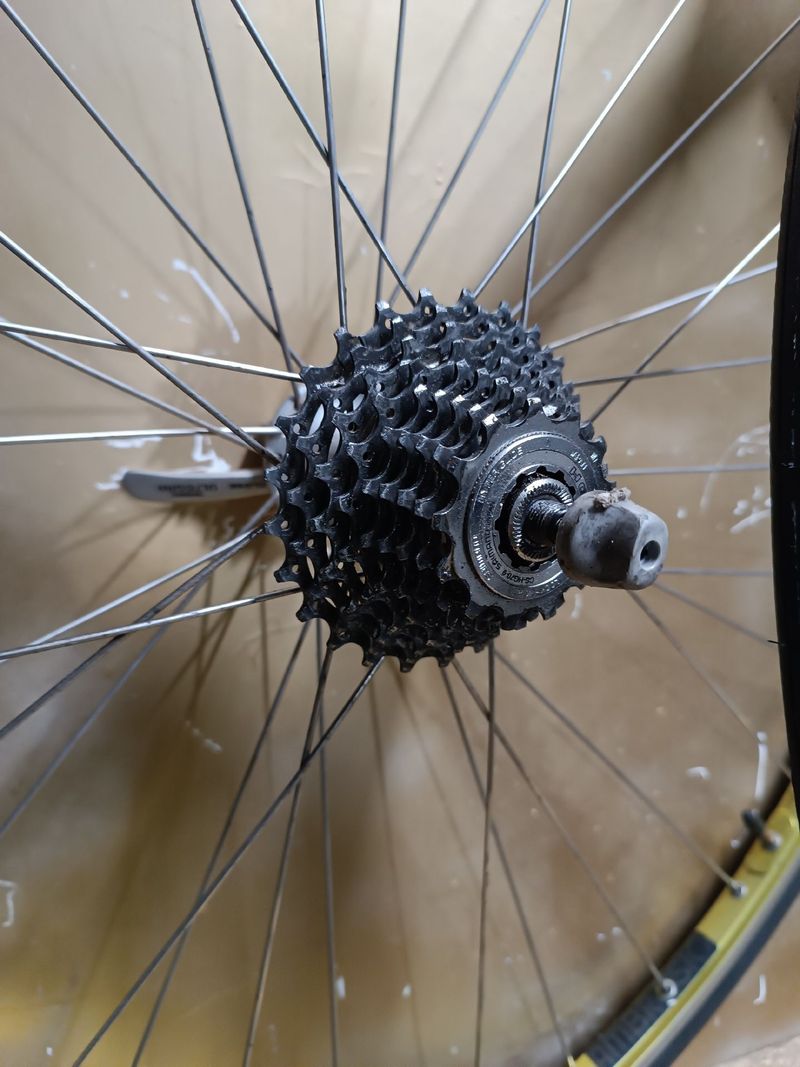 Used Ambrosio excellence bike — image 2 of 4
