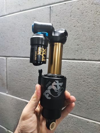 Fox Float | Acquisti Online Su - Foto 2