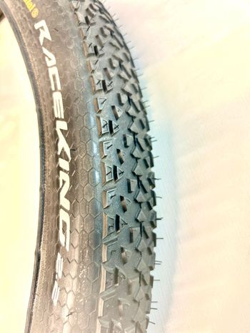 Used Continental x King Protection 2024 bike — image 5 of 6
