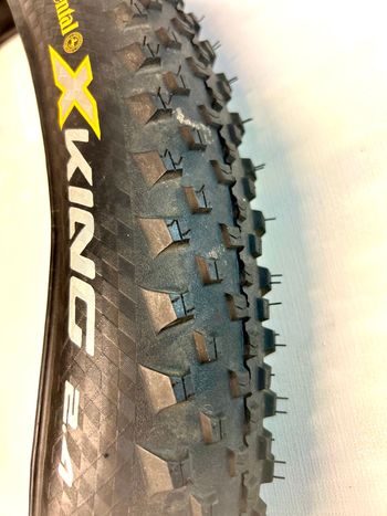 Used Continental x King Protection 2024 bike
