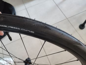 Used Dt Swiss Performance 2025 bike — image 8 of 9