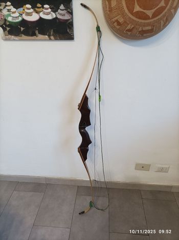 Used Sabatino D'Angelo arco ricurvo take down 2019 bike — image 4 of 4