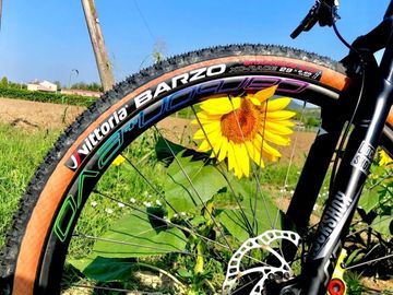 Brugt Carbon+ Evo Bikedirection Carbon+ EVO XXL 29er HookLess 2025 bike — billede 7 af 7