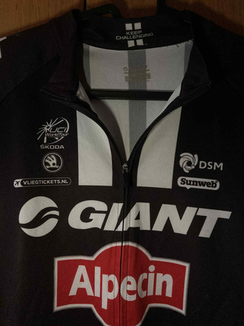 Used Giant Alpecin Original Jersey 2015 bike — image 3 of 6