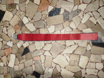 Used Pomoca pelle  120 tipo gara 2024 bike — image 1 of 3