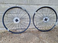 Dt Swiss P1850 spline 2023