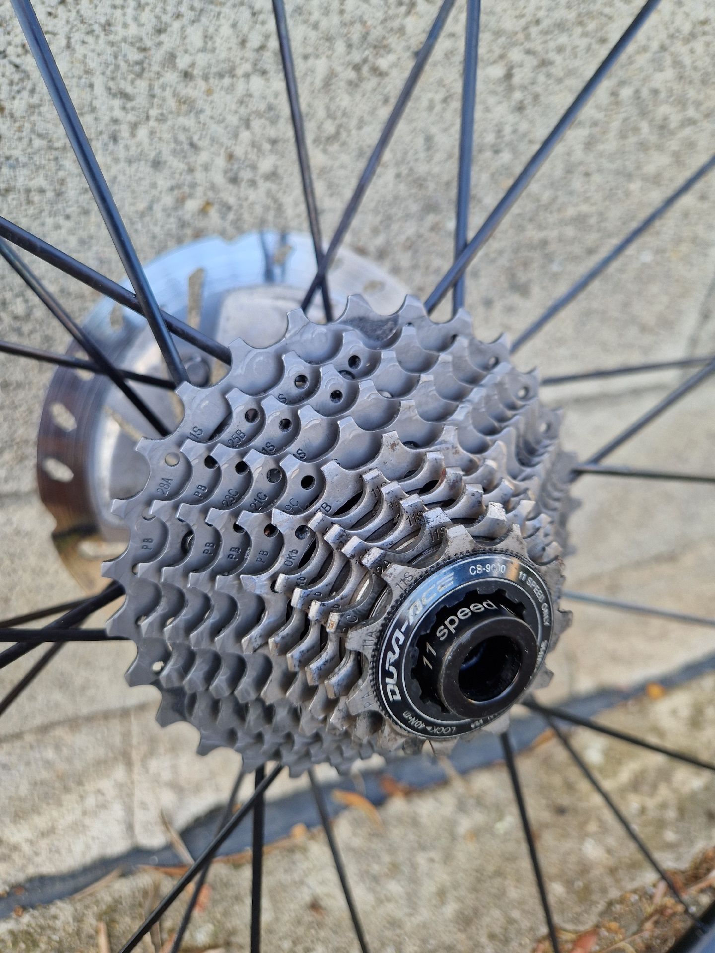 Dt Swiss P1850 spline | buycycle