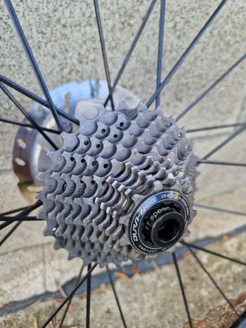 Used Dt Swiss P1850 spline 2023 bike — image 4 of 6