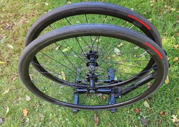 Dt Swiss Performance LN 2024