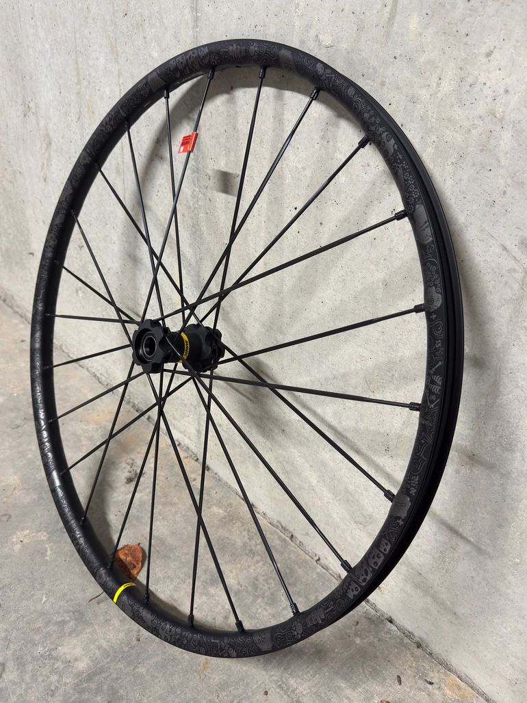 Mavic Deemax Pro Sam Hill Avant 29''