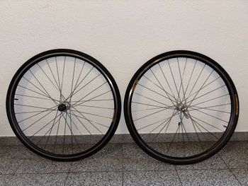 Mavic, CXP23