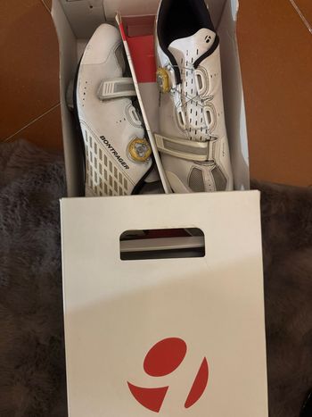2017, scarpe