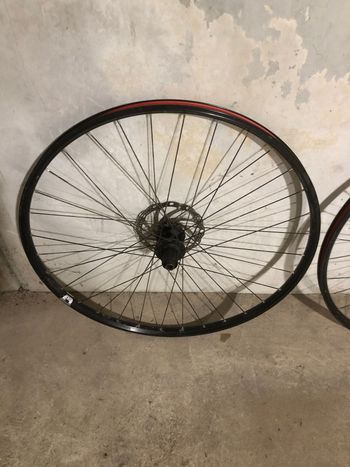 Used 2023 Cerchi bike — image 4 of 4