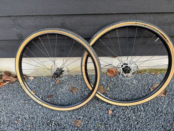 2023, WTB Wheelset