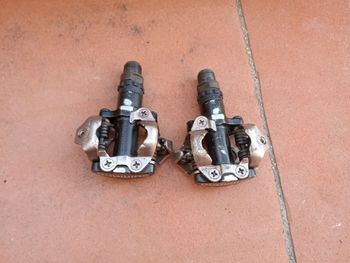 Used 2024 Pedali bike — image 2 of 2