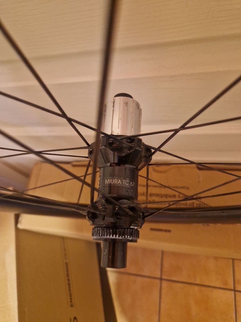 Used 2025 Ursus Miura TC67 Disc Carbon Tubeless Wheelset bike — image 6 of 6