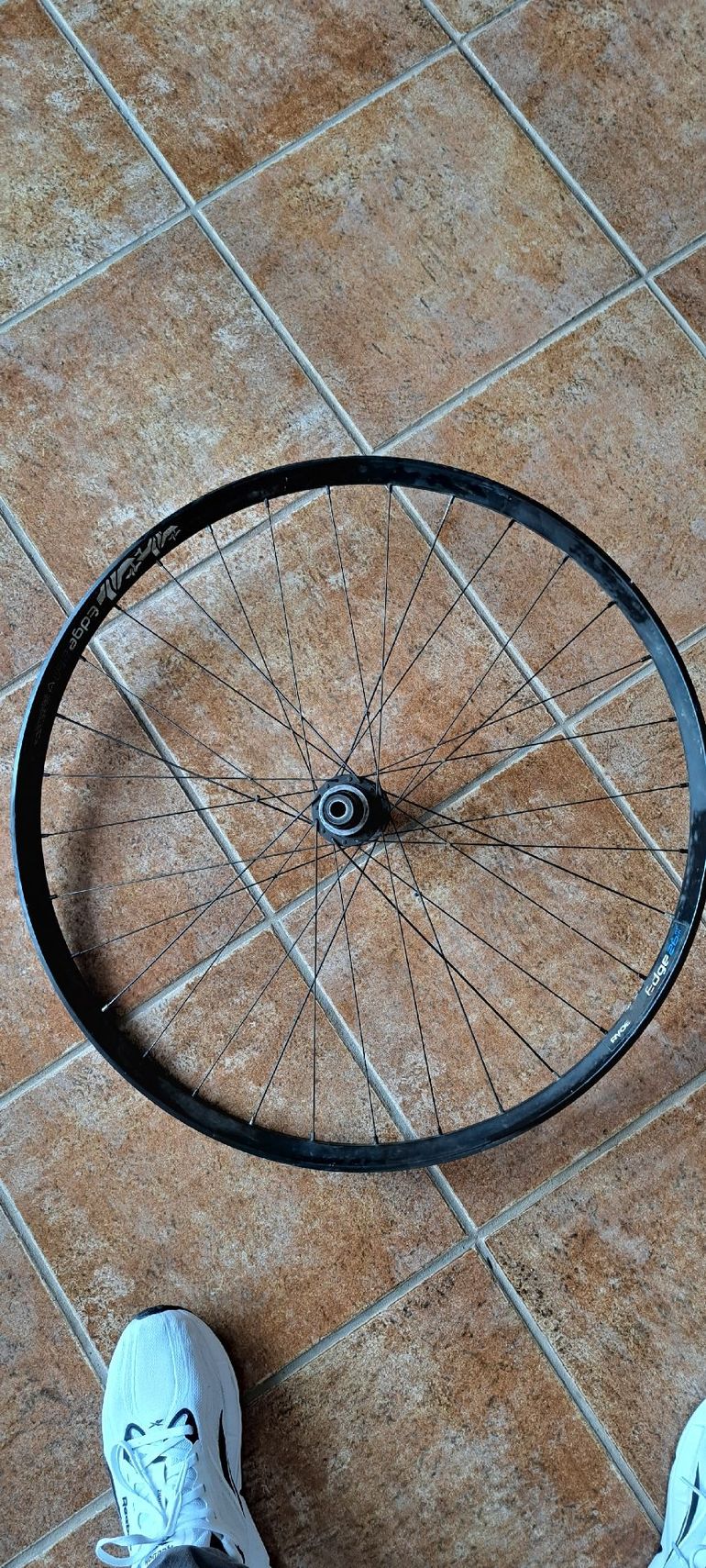 Used 2022 Ruota Wheel bike — image 1 of 3