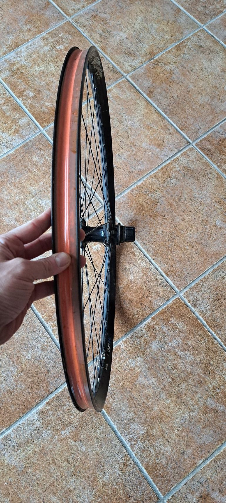 Used 2022 Ruota Wheel bike — image 2 of 3