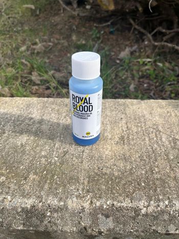 Magura, Royal Blood