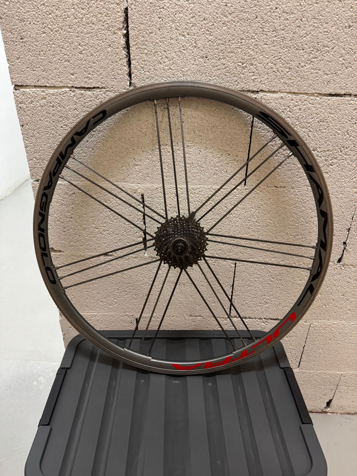 Used Campagnolo Shamal Ultra Wheels – $ 605 | buycycle