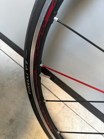 Fulcrum, zero competition