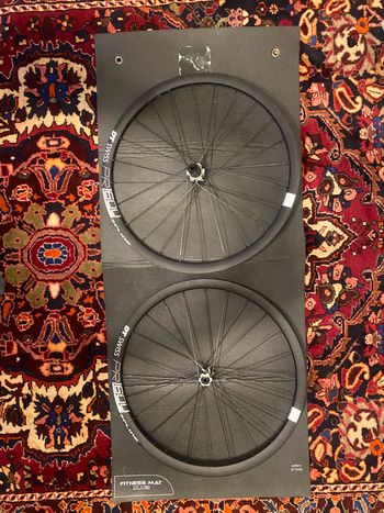 Dt Swiss, Spline 1600 Wheelset